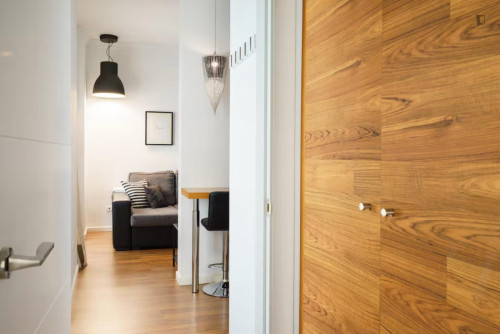 Dashing 1-bedroom apartment in La Victoria