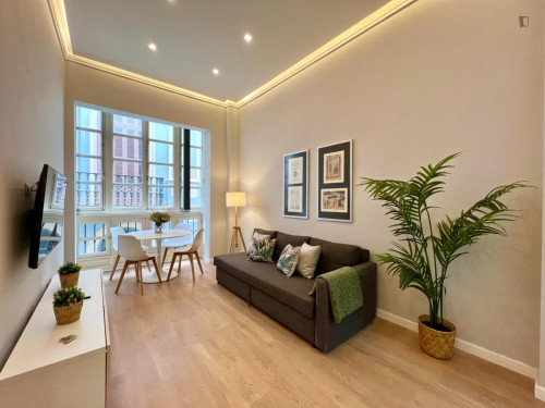 Appealing 2-bedroom flat in Centro Histórico