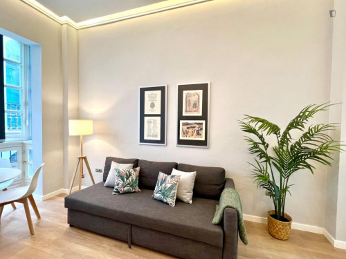 Appealing 2-bedroom flat in Centro Histórico