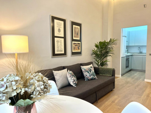 Appealing 2-bedroom flat in Centro Histórico  - Gallery -  5