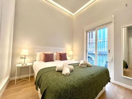 Appealing 2-bedroom flat in Centro Histórico