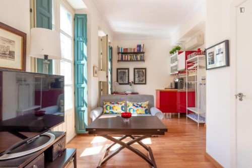 Charming studio in the city center