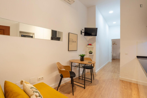 Very cool 1-bedroom apartment in the heart of Málaga