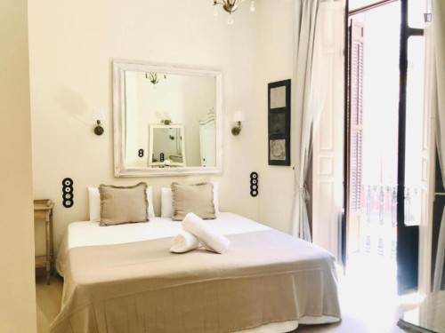 Classy 1-bedroom apartment in Centro Histórico