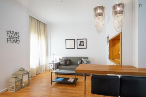 Stupendous 1-bedroom apartment in La Victoria