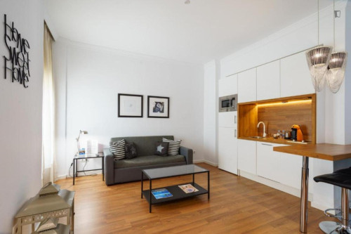 Stupendous 1-bedroom apartment in La Victoria