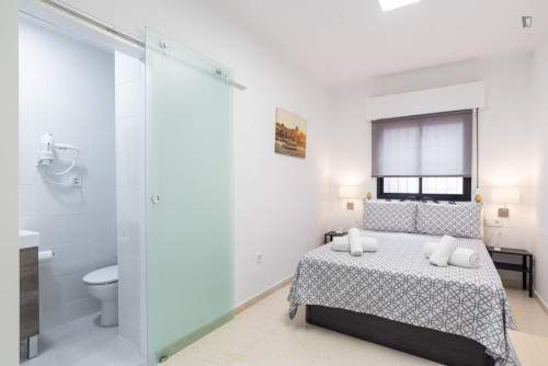 Appealing 3-bedroom flat near the city centre