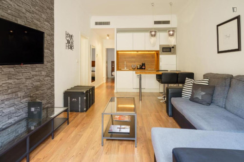 Wonderful 2-bedroom apartment in La Victoria  - Gallery -  5