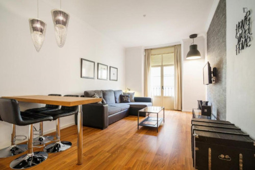 Wonderful 2-bedroom apartment in La Victoria