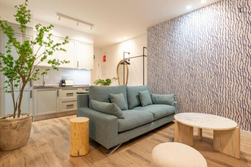 Beautiful studio in the Olletas neighbourhood