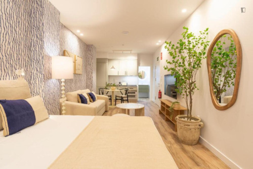 Stupendous studio in the Olletas neighbourhood