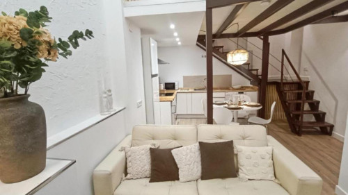 Very charming 2-bedroom apartment in Centro Histórico