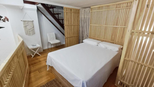 Very charming 2-bedroom apartment in Centro Histórico