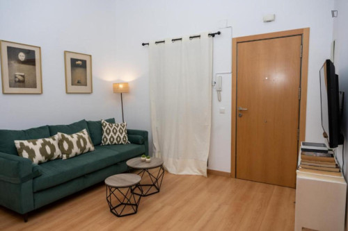 Charming 1-bedroom apartment in La Victoria