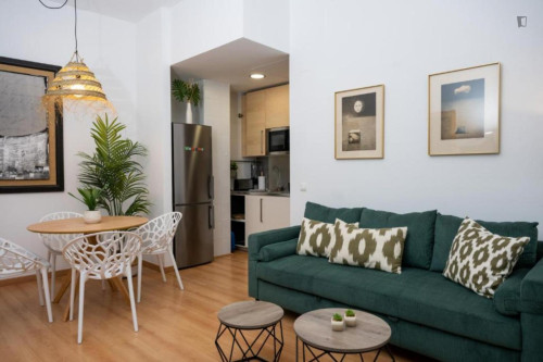 Charming 1-bedroom apartment in La Victoria