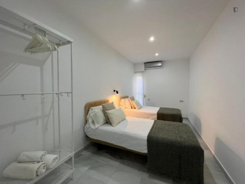 Elegant 2-bedroom apartment in the Centro district