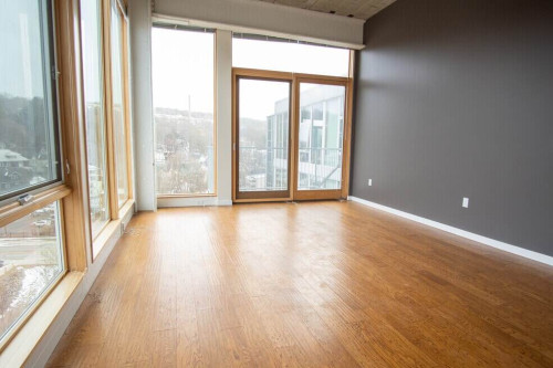 Cayuga Lofts