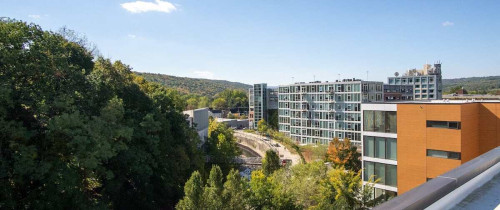 Cayuga Lofts