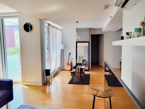 Entire Place·2B2B···1211 Rue Drummond