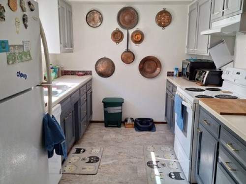 Cool condo room to rent