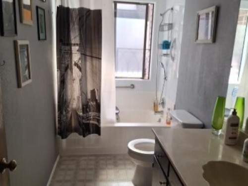 Cool condo room to rent