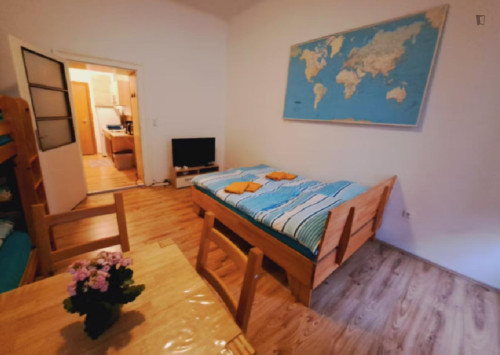 Nice Bed in a shared room in a 1 Bedroom Apartment close to U1 Reumannplatz metrostation