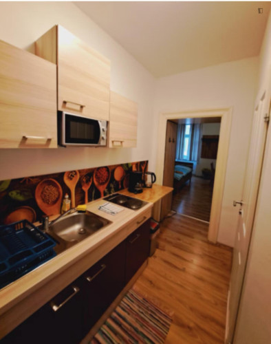 Nice Bed in a shared room in a 1 Bedroom Apartment close to U1 Reumannplatz metrostation