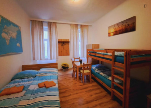 Nice Bed in a shared room in a 1 Bedroom Apartment close to U1 Reumannplatz metrostation