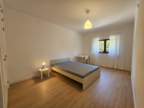 Spacious double bedroom in a fully renovated and furnished apartment
