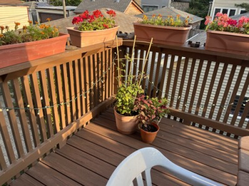 Haddon Hideaway - Gallery - 9