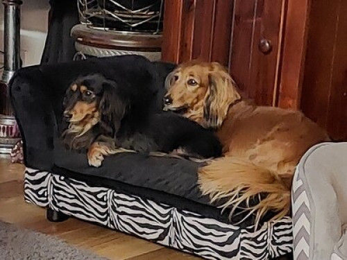 Rumpus room with kitchen