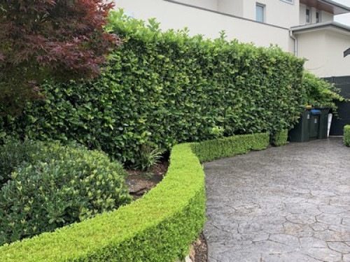 A luxurious stay in prestigious loc  - Gallery -  5