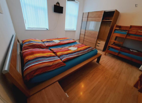 Cozy bed in a shared Bedroom close to U1 Reumannplatz metrostation