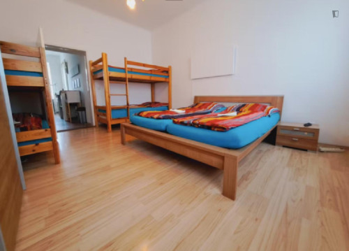 Cozy bed in a shared Bedroom close to U1 Reumannplatz metrostation