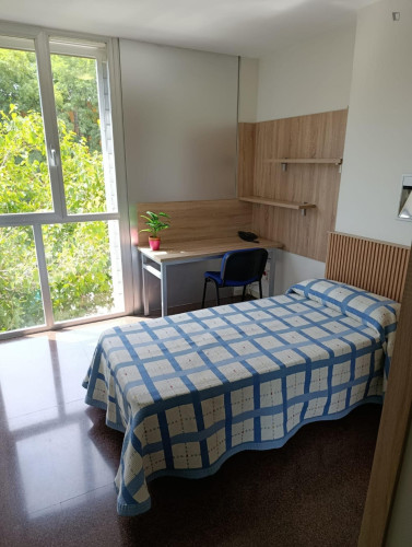 Welcoming single ensuite bedroom in La Fama