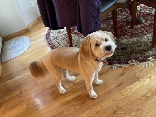 Large Room in Family Neighborhood