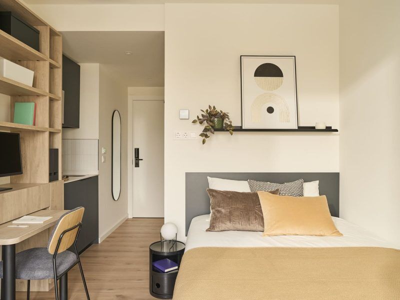  Standard Studio With Terrace  -  The Carabanchel Episode  - Gallery -  2