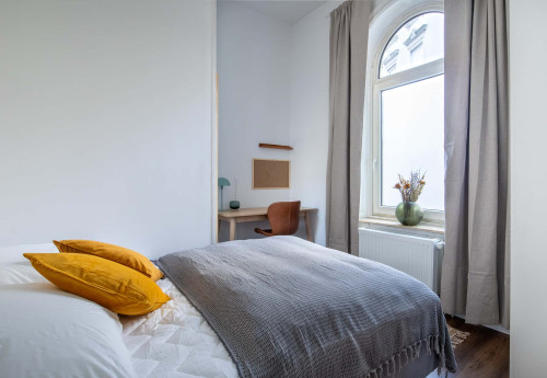 Alfons 2 Room 1 Standard+