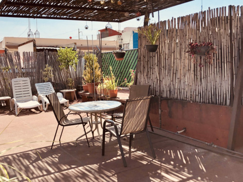 Noria Home - Gallery - 7