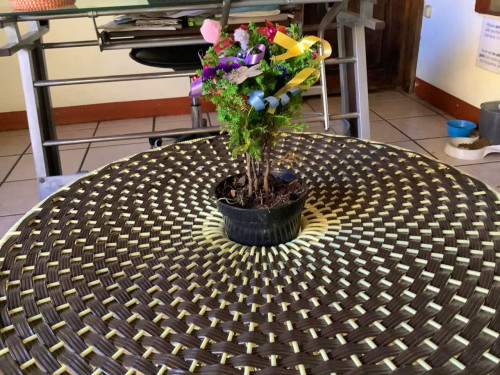 Noria Home - Gallery - 49