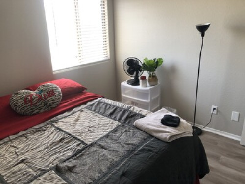 Cozy Local Room Extraordinaire  
