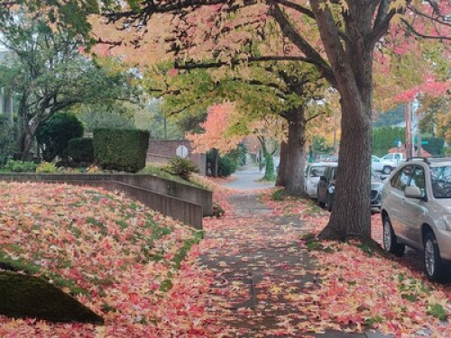 Vintage Style in Great Neighborhood  - Gallery -  5