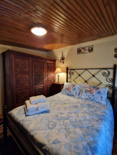 Cozy Portuguese house in Carregal with terrace and fireplace