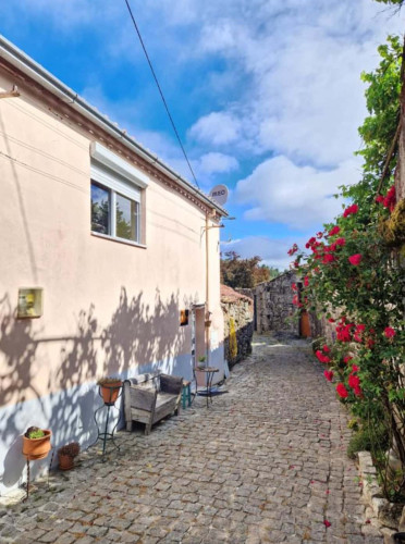 Cozy Portuguese house in Carregal with terrace and fireplace - Gallery - 10