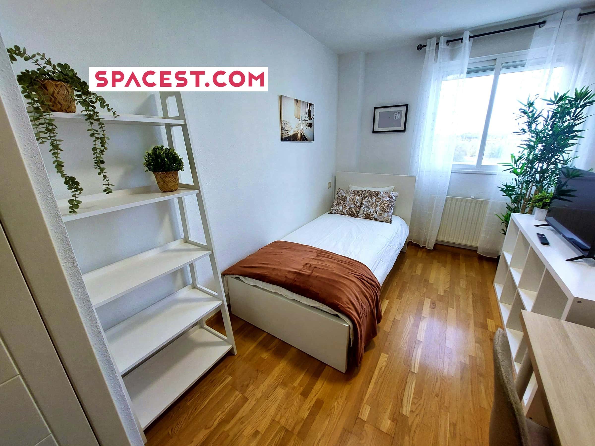  Habitación 2: Avenida De España 1  -  Habitación 2: Avenida de España 1  - Gallery -  1