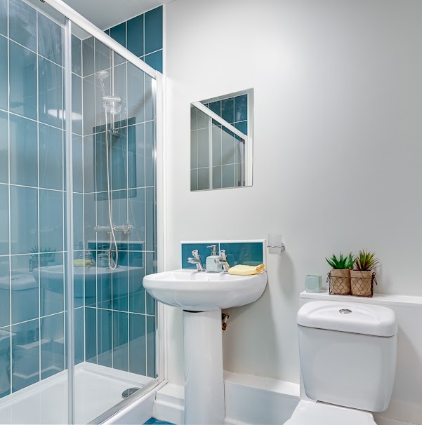  Deluxe Studio  -  Avalon Court  - Gallery -  5