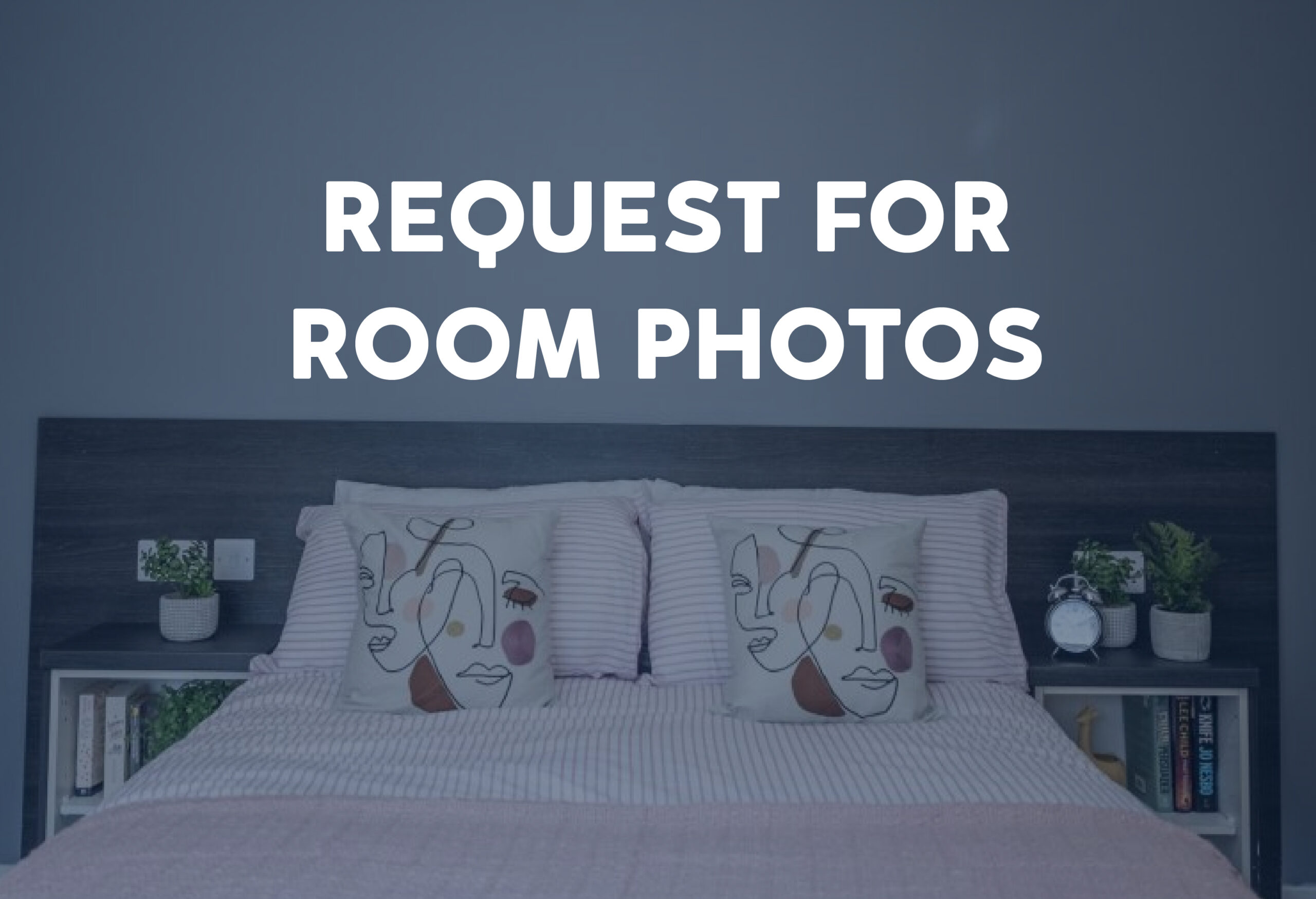  Classic Studio  -  Avalon Court  - Gallery -  1