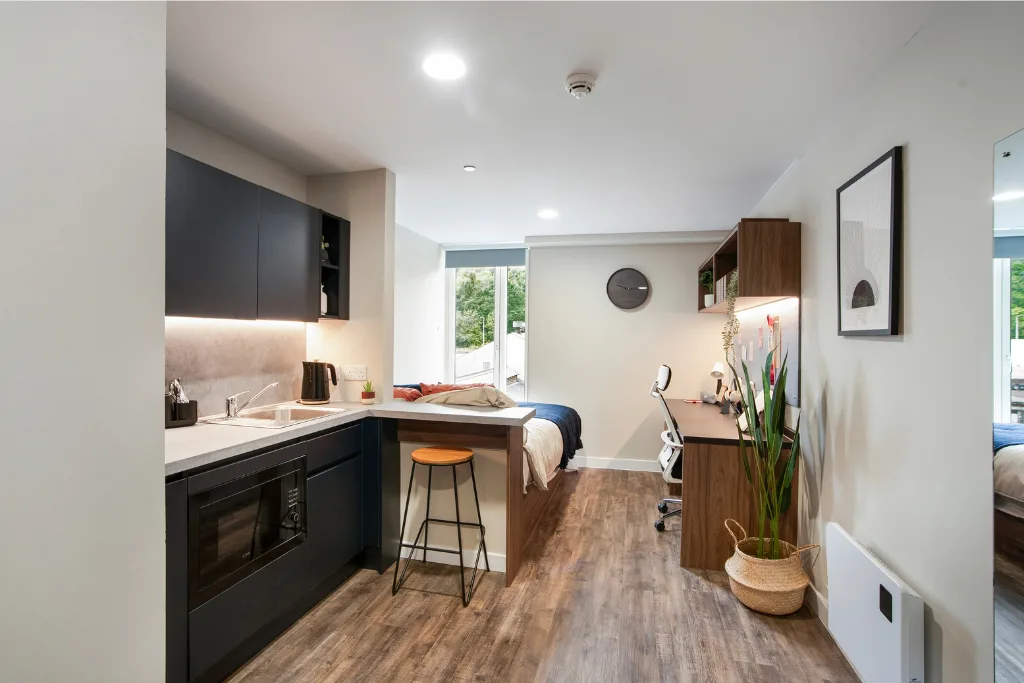  Premium Plus Studio  -  Stanley Studios  - Gallery -  1
