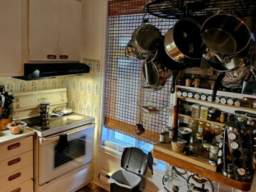 Cozy room in the Mile ENd - Gallery - 10