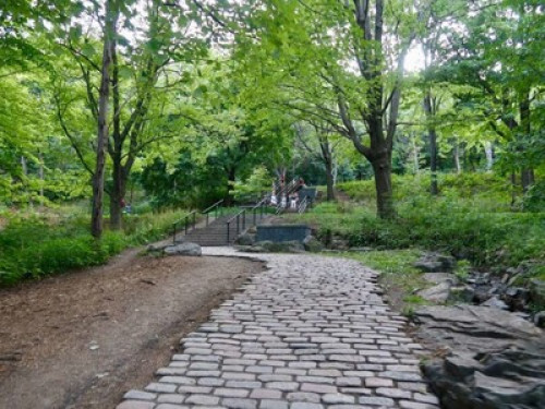 Cozy room in the Mile ENd  - Gallery -  5